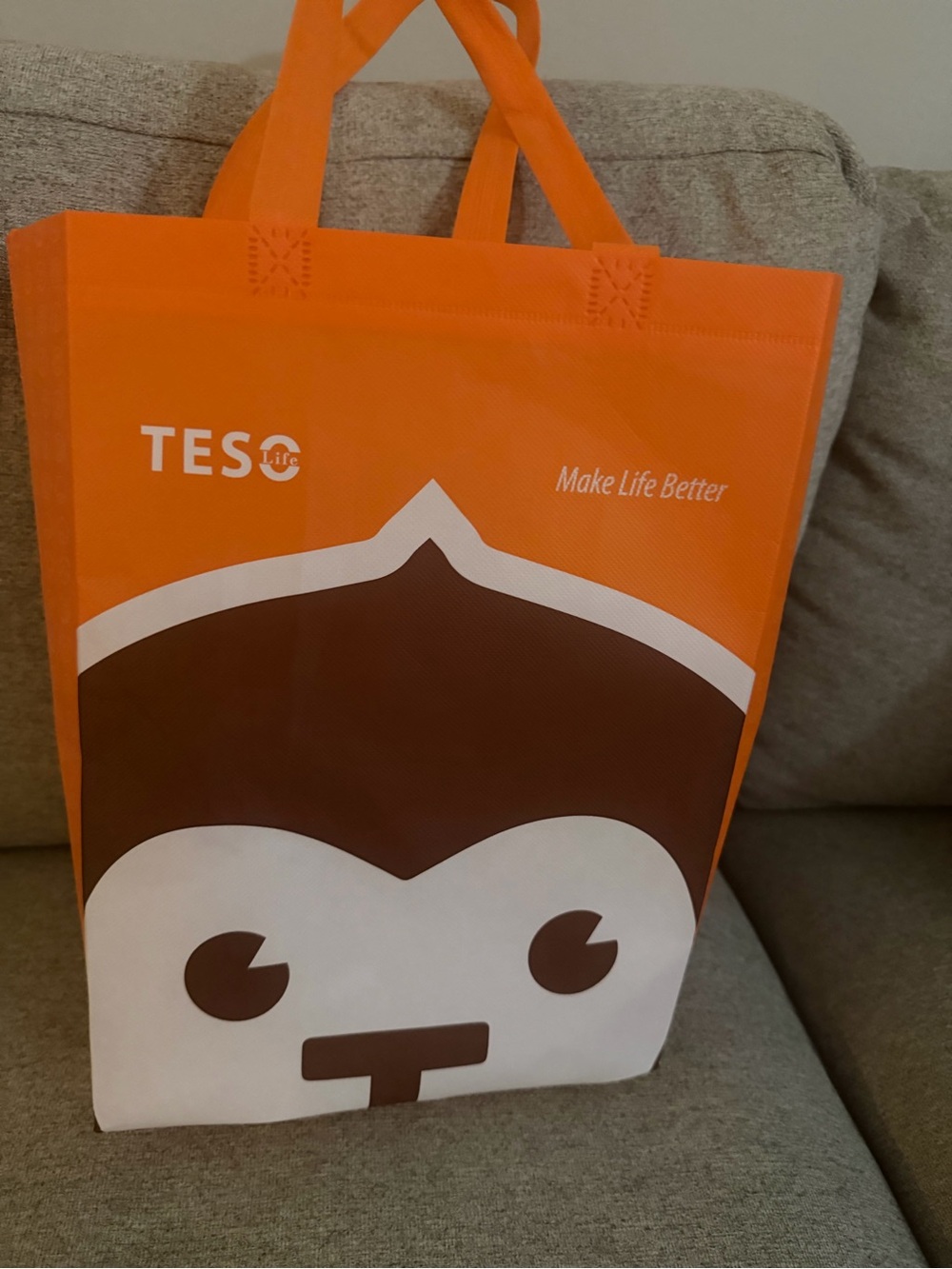 TESO LIFE reusable bag * Like New